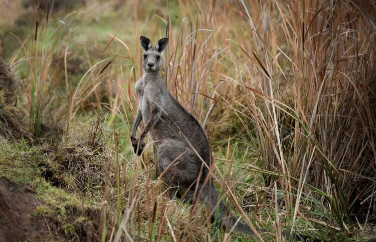 'Mega felaket' için soyunuyorlar! 10 binin üzerinde çıplak fotoğraf gönderdi... - Sayfa 21