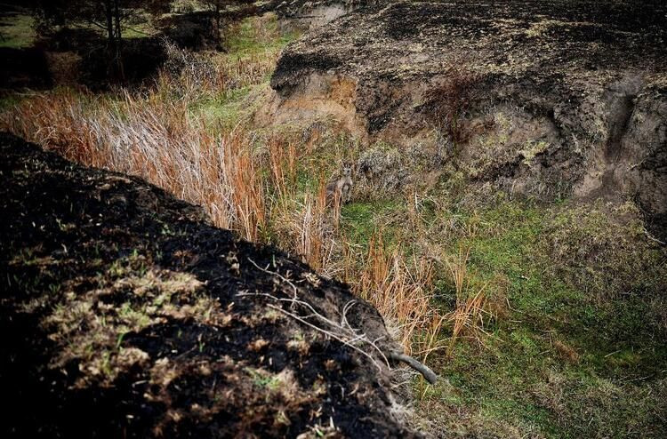 'Mega felaket' için soyunuyorlar! 10 binin üzerinde çıplak fotoğraf gönderdi... - Sayfa 14