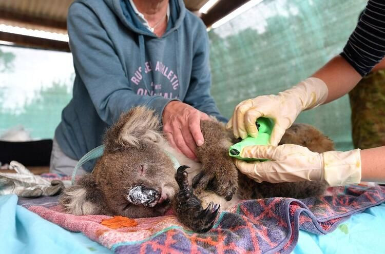 'Mega felaket' için soyunuyorlar! 10 binin üzerinde çıplak fotoğraf gönderdi... - Sayfa 22