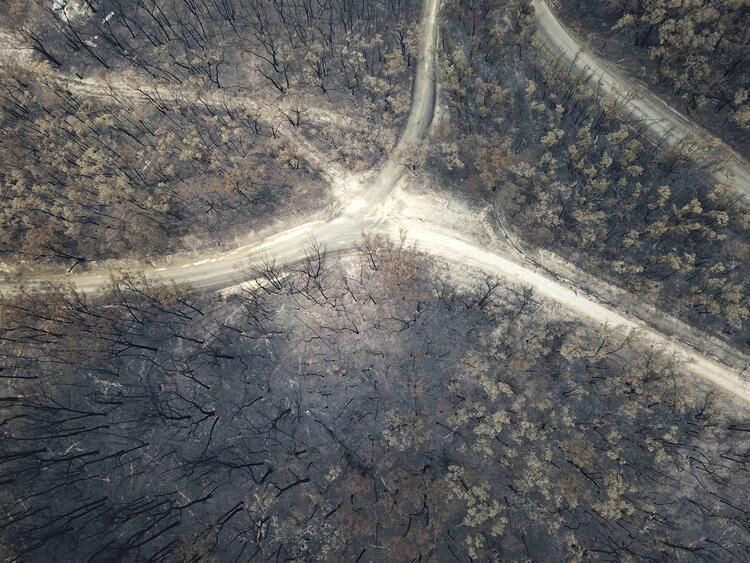 NASA'dan korkutan uyarı! Dumanı dünyayı sarıyor... - Sayfa 10