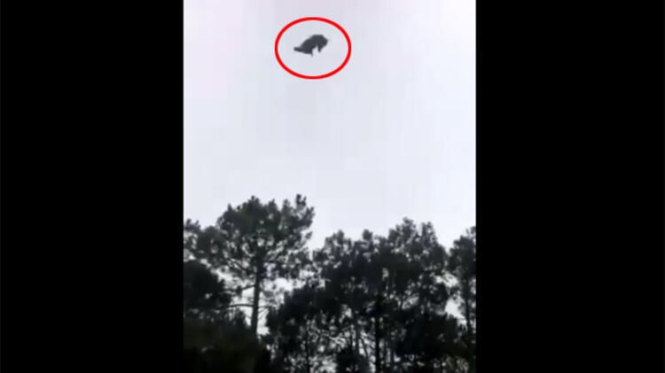 Milyoner iş insanının havuzuna canlı canlı atıldı! - Sayfa 11