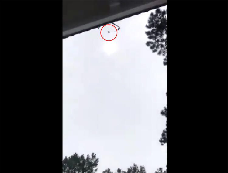 Milyoner iş insanının havuzuna canlı canlı atıldı! - Sayfa 5