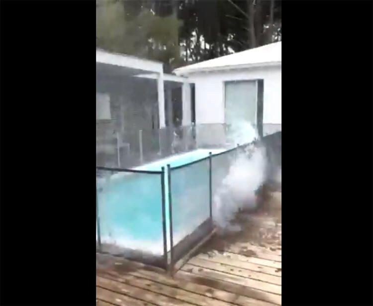 Milyoner iş insanının havuzuna canlı canlı atıldı! - Sayfa 6