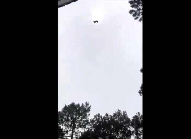 Milyoner iş insanının havuzuna canlı canlı atıldı! - Sayfa 7