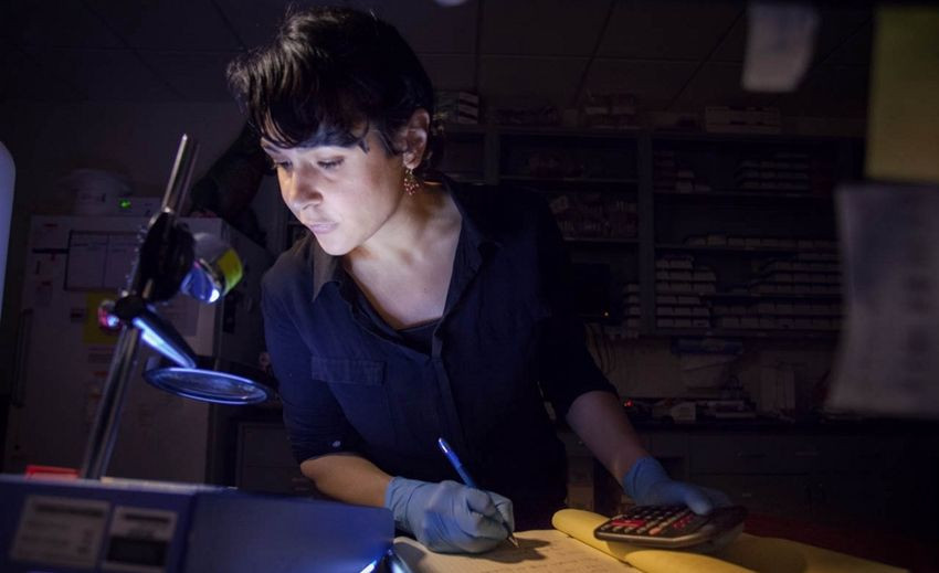 Türk bilim kadını NASA'ya kabul edildi! Evrende yaşamı araştıracak... - Sayfa 8