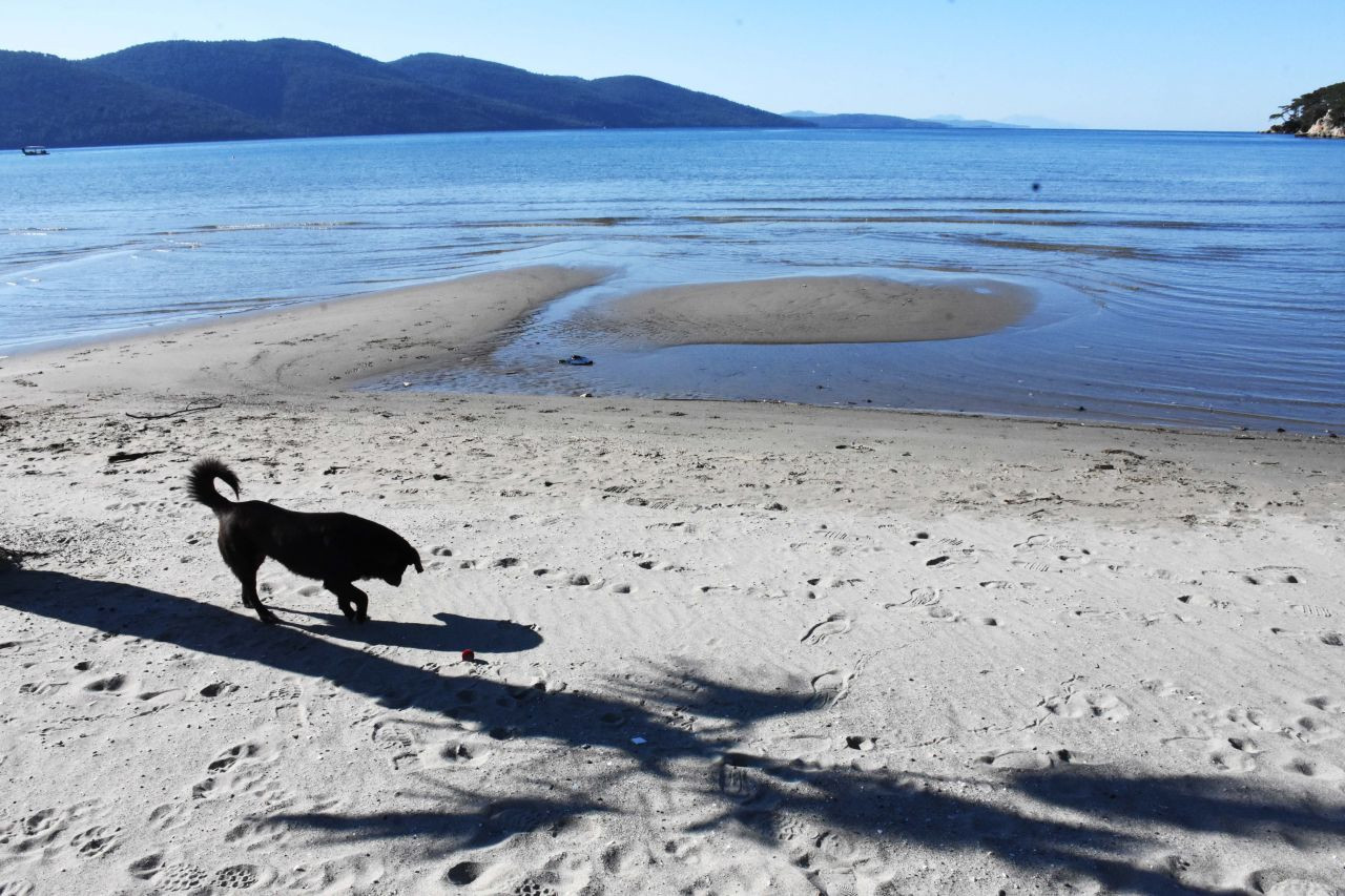 Akyaka'da deniz suyu 30 metre çekildi - Sayfa 7