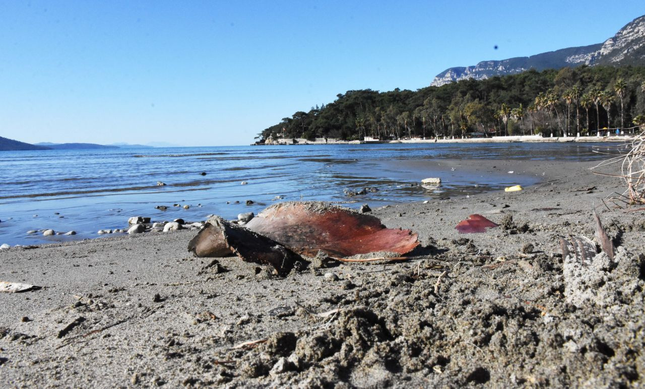 Akyaka'da deniz suyu 30 metre çekildi - Sayfa 9