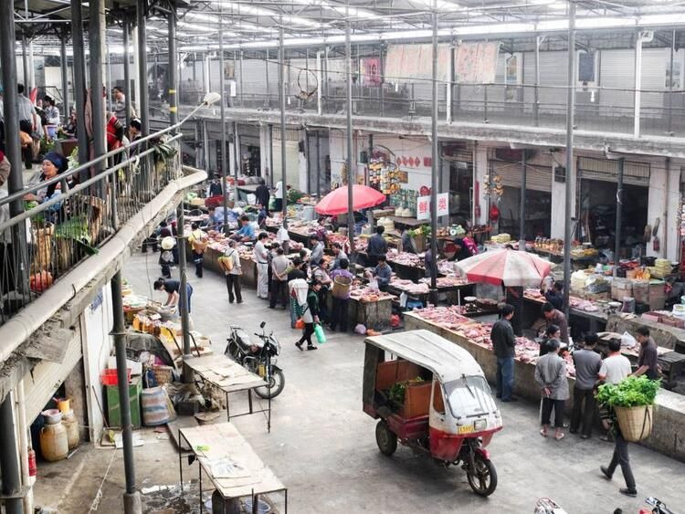 Ölümcül salgın buradan yayıldı - Sayfa 13