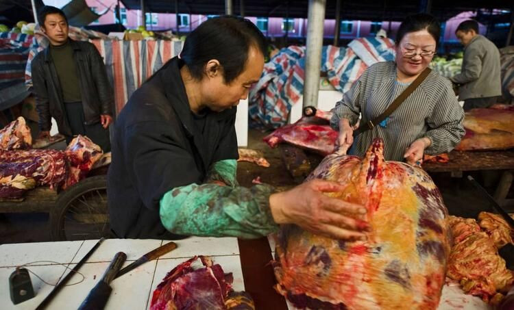 Ölümcül salgın buradan yayıldı - Sayfa 21