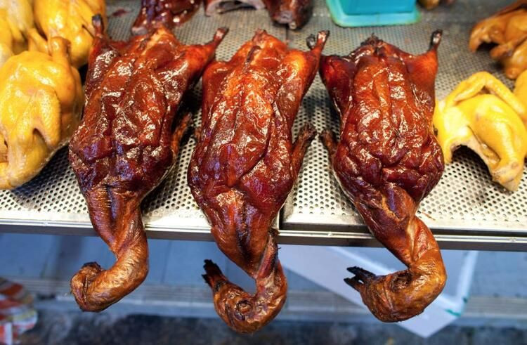 Ölümcül salgın buradan yayıldı - Sayfa 5