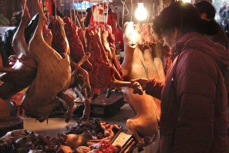 Ölümcül salgın buradan yayıldı - Sayfa 2