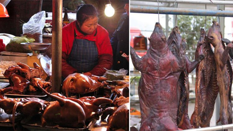 Ölümcül salgın buradan yayıldı - Sayfa 1