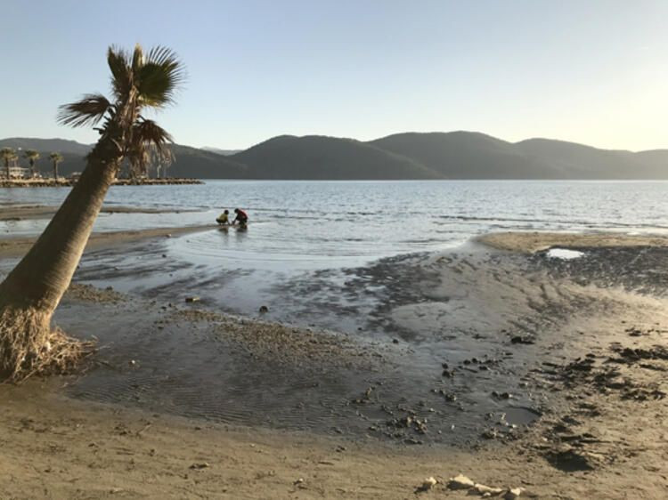 Deprem korkusuna yol açan görüntü! 50 metre çekildi... - Sayfa 16