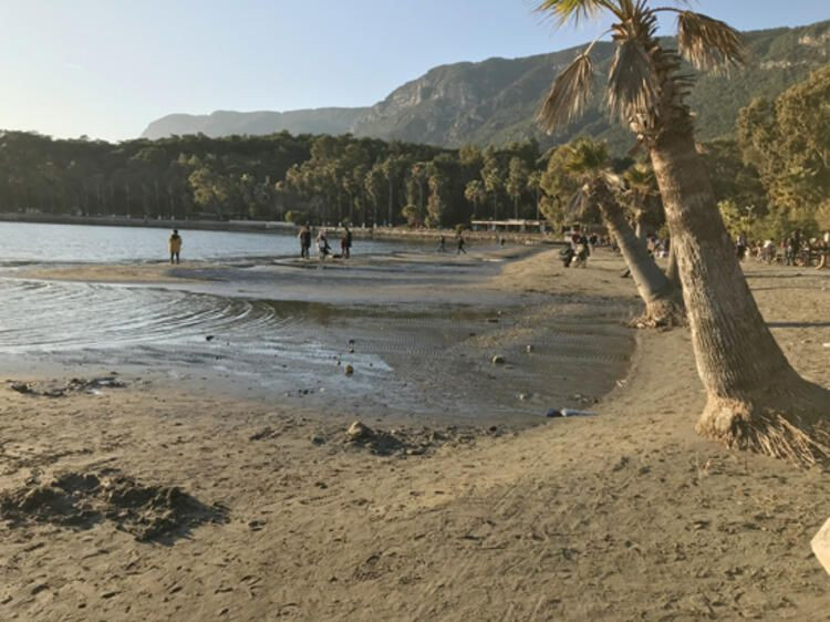 Deprem korkusuna yol açan görüntü! 50 metre çekildi... - Sayfa 17