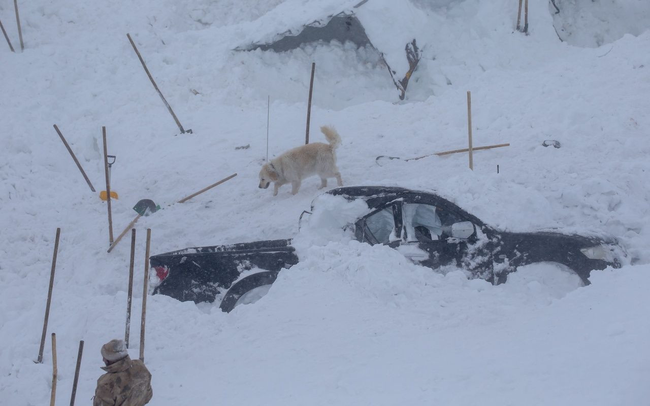 Fotoğraflarla büyük facia - Sayfa 18