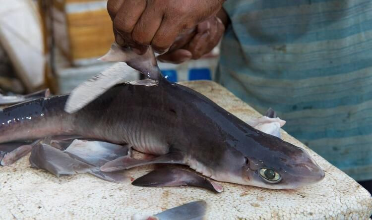 Ölüm saçan bir pazar daha - Sayfa 11