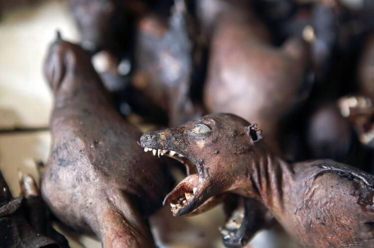 Ölüm saçan bir pazar daha - Sayfa 9