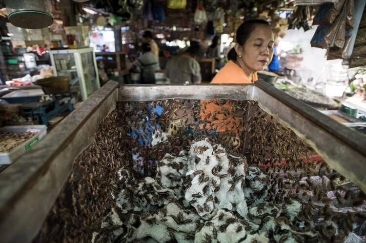 Ölüm saçan bir pazar daha - Sayfa 14