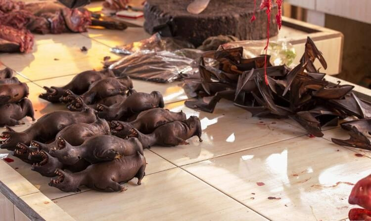 Ölüm saçan bir pazar daha - Sayfa 5