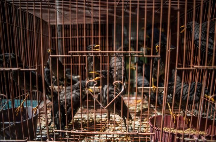 Ölüm saçan bir pazar daha - Sayfa 7