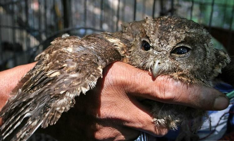 Ölüm saçan bir pazar daha - Sayfa 17