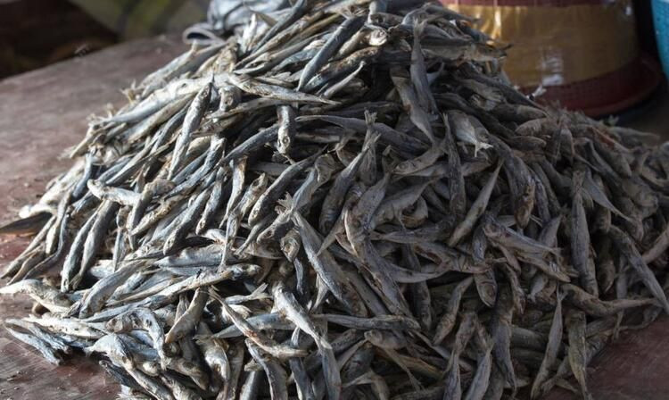 Ölüm saçan bir pazar daha - Sayfa 16