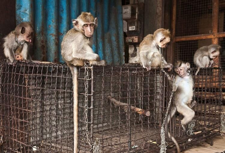 Ölüm saçan bir pazar daha - Sayfa 15