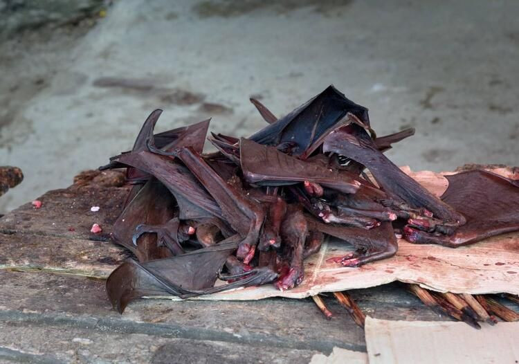 Ölüm saçan bir pazar daha - Sayfa 10