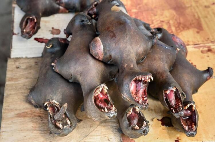 Ölüm saçan bir pazar daha - Sayfa 6