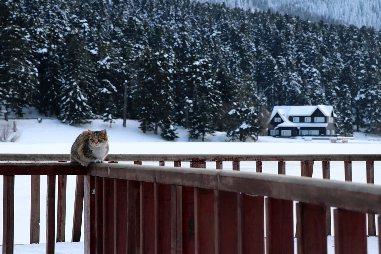 Karlar altındaki Gölcük'ten muhteşem kareler! - Sayfa 5