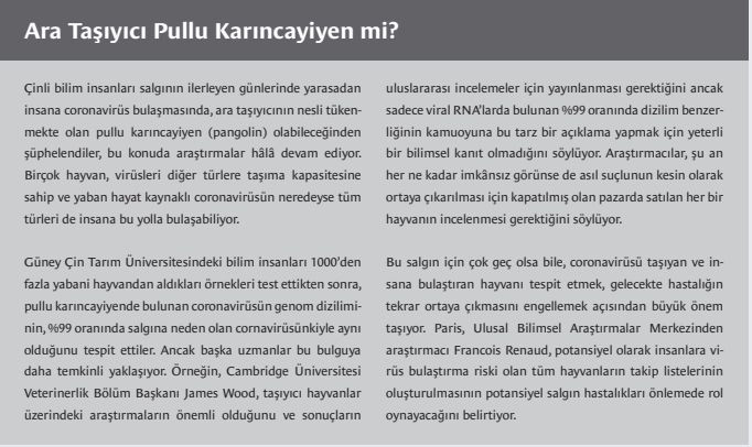 Koronavirüs'le ilgili bilmeniz gerekenler... - Sayfa 11