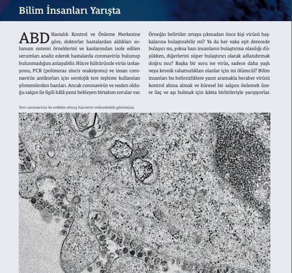 Koronavirüs'le ilgili bilmeniz gerekenler... - Sayfa 16