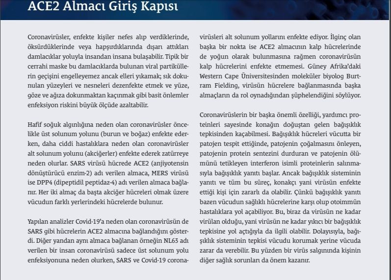 Koronavirüs'le ilgili bilmeniz gerekenler... - Sayfa 5