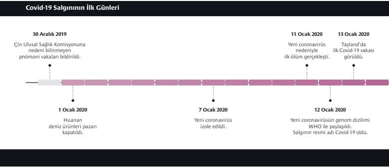 Koronavirüs'le ilgili bilmeniz gerekenler... - Sayfa 6
