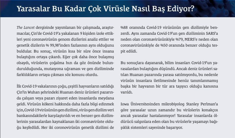 Koronavirüs'le ilgili bilmeniz gerekenler... - Sayfa 9