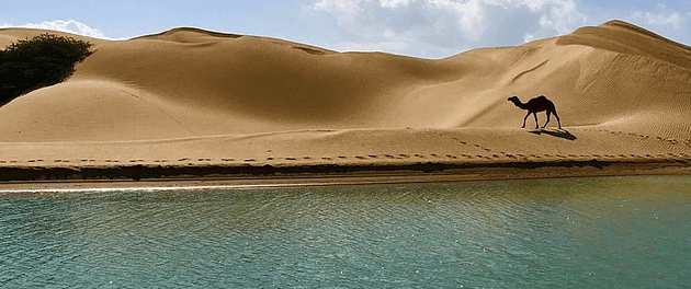 21. yüzyıla dair ilginç kehanetler - Sayfa 13