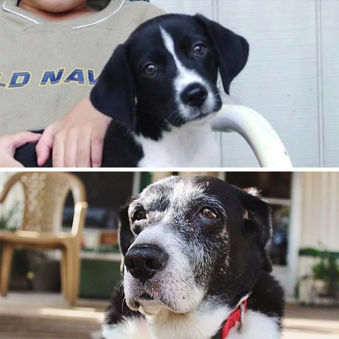 İşte zamanın canlılar ve eşyalar üzerindeki etkisi - Sayfa 22