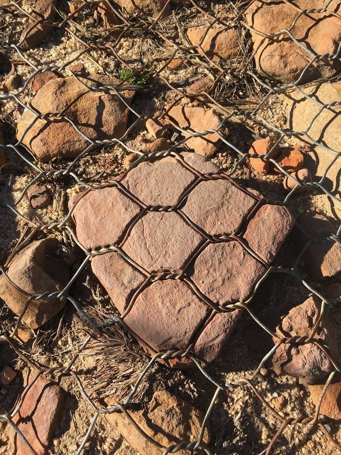 İşte zamanın canlılar ve eşyalar üzerindeki etkisi - Sayfa 26