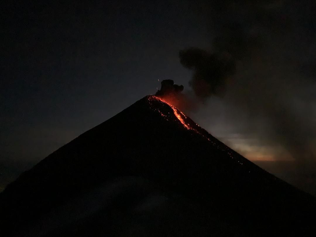 Görmek için 15 saat uçtular - Sayfa 5