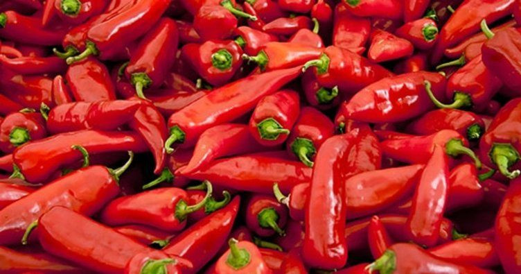 Bağışıklık sistemini güçlendiren besinler - Sayfa 10