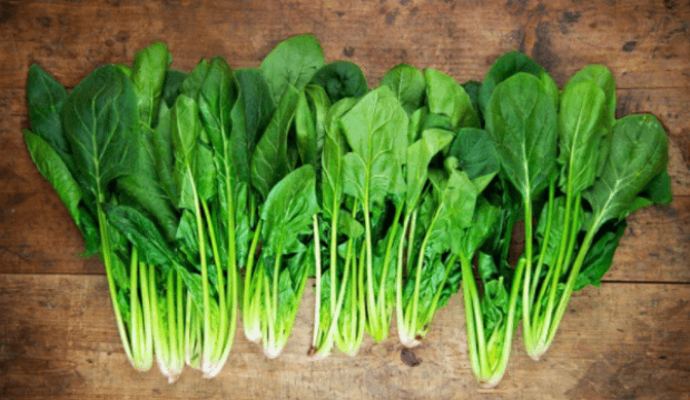 Bağışıklık sistemini güçlendiren besinler - Sayfa 5