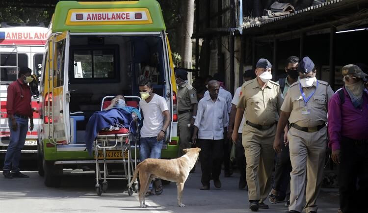 İtalyan doktor dünyayı uyardı: Bu ciddi, hazır olun! - Sayfa 37