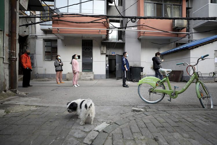 Mahalleye girişlere brandalı önlem! İki Türk anlattı... - Sayfa 23