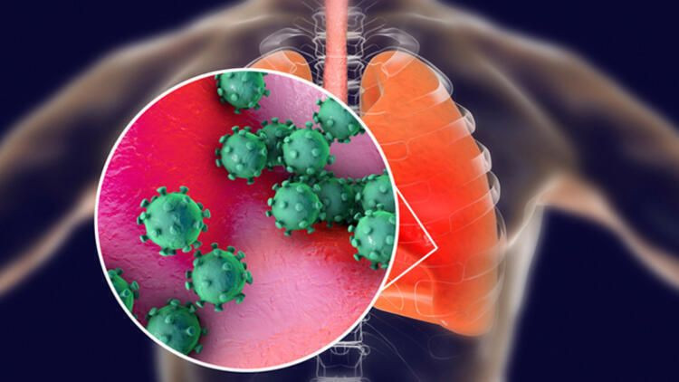 Koronavirüsü yayan ölümcül hatalar! Şoke eden detaylar ortaya çıktı - Sayfa 11