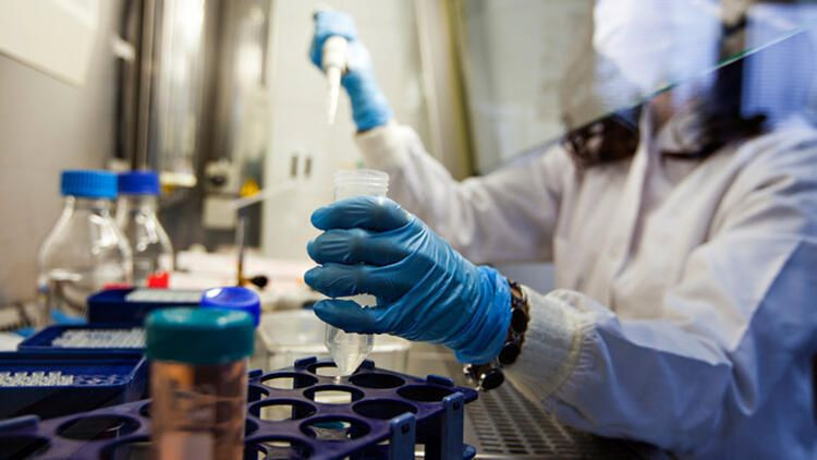 Koronavirüsü yayan ölümcül hatalar! Şoke eden detaylar ortaya çıktı - Sayfa 14