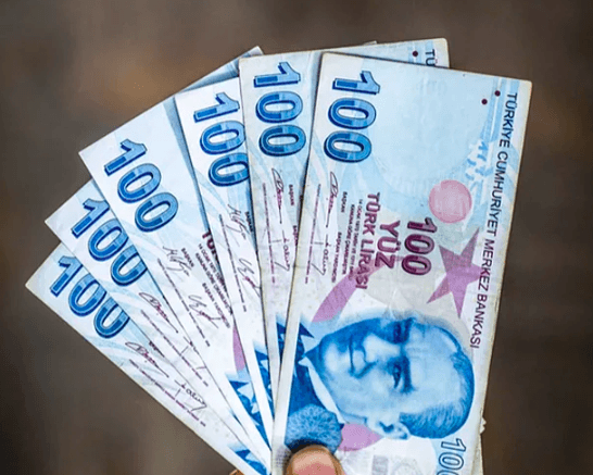 Günlük hayatta kullanılan 25 mikrop yuvası nesne - Sayfa 5