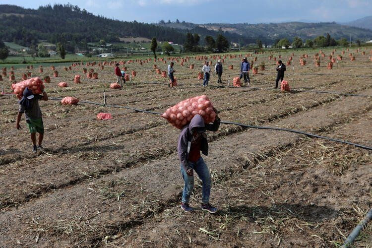 Cesetler sokaklara atıldı! Tüm dünyayı dehşete düşüren fotoğraf - Sayfa 26