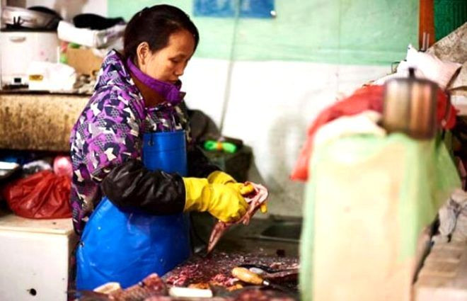 Kan konduran itiraflar! Yasağa rağmen yemek için köpek yetiştiriyorlar - Sayfa 9