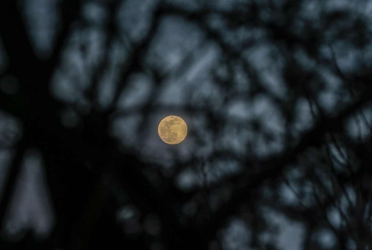 Yurttan Süper Ay manzaraları... - Sayfa 12