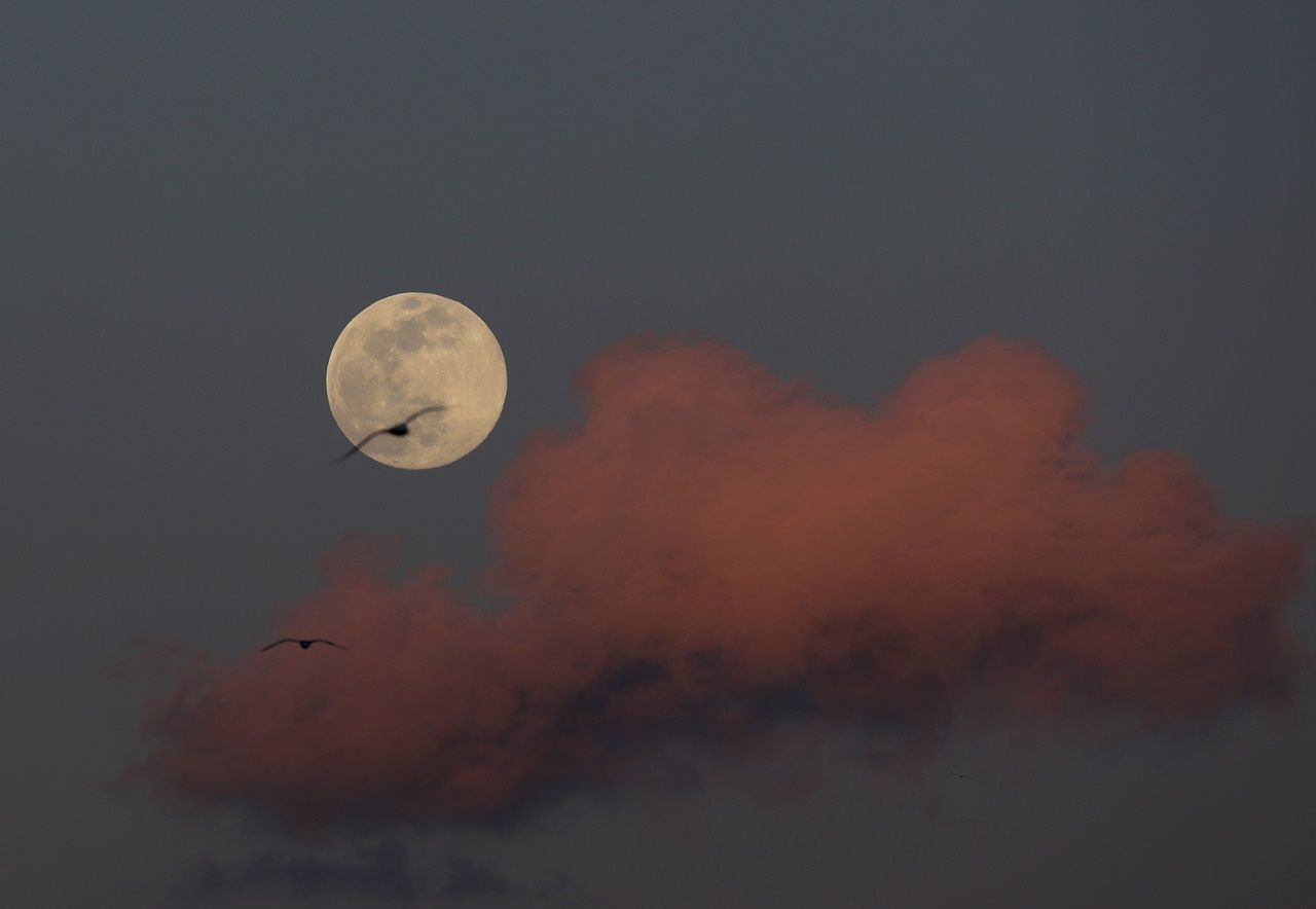 Yurttan Süper Ay manzaraları... - Sayfa 24